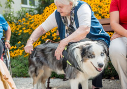 Tierisch gut aktivieren Tierisch gut aktivieren